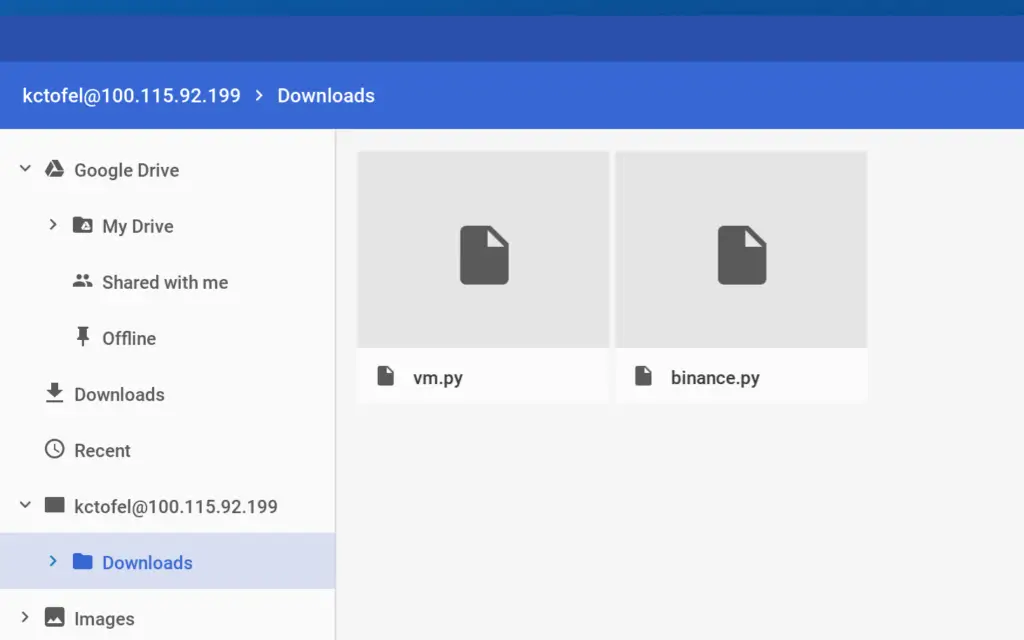 Chrome OS Files app showing Linux mount