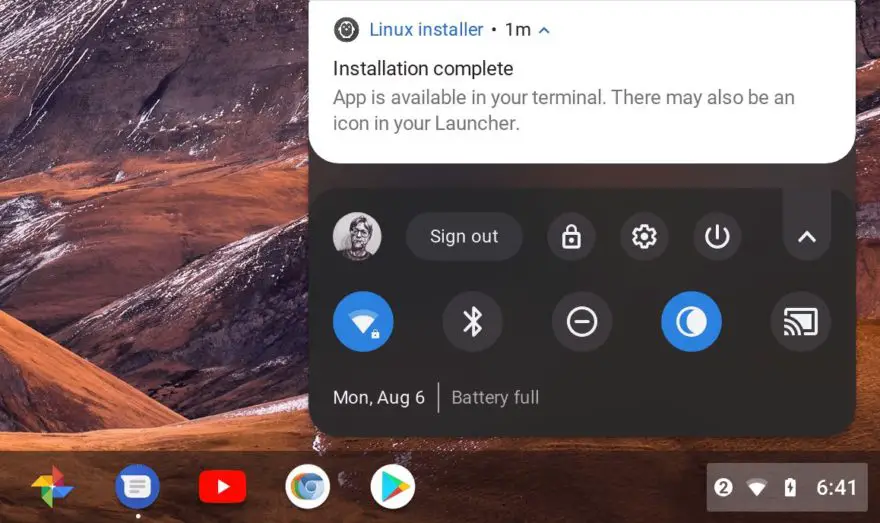 Chrome OS launcher function to search for Linux app installs postponed