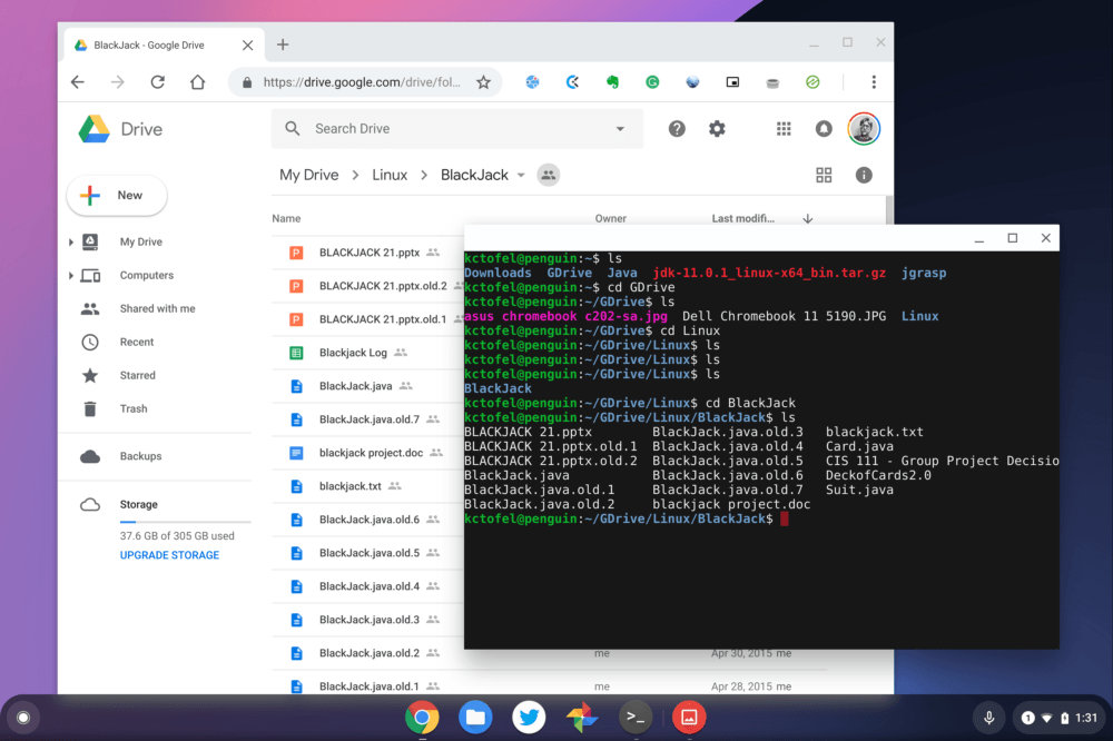 Chrome OS 73 Dev Channel adds Google Drive, Play Files mount in Linux, USB device management and Crostini backup flag