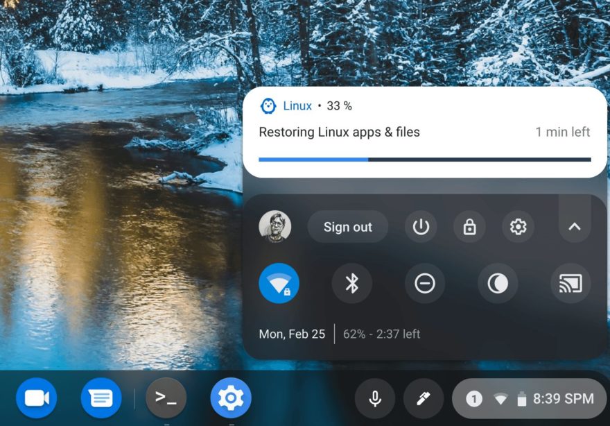 Proposed Chrome OS 78 change will use the Files app to restore Linux containers on Chromebooks