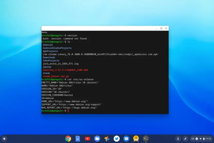 Debian 10 Buster expected this week, but not for Linux on Chromebooks (unless you manually upgrade)