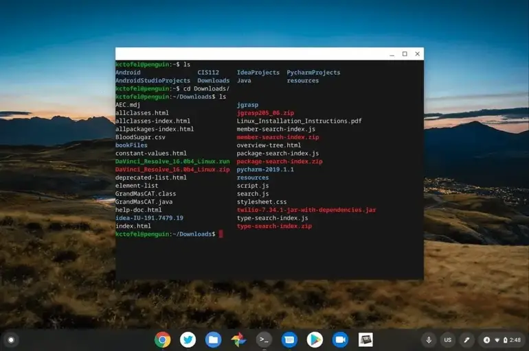 ChromebookでLinuxを実行し、ターミナルを使用する