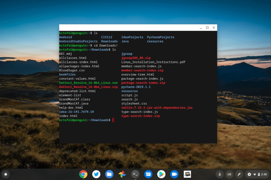 Chrome OS 80 planned for Debian 10 Buster Linux support