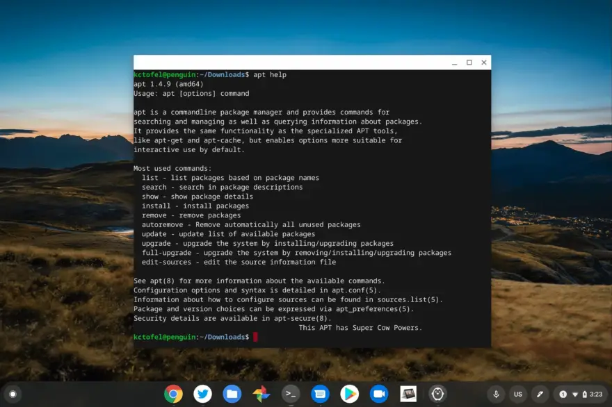 Linux for Chromebooks 101: Getting started with the command line