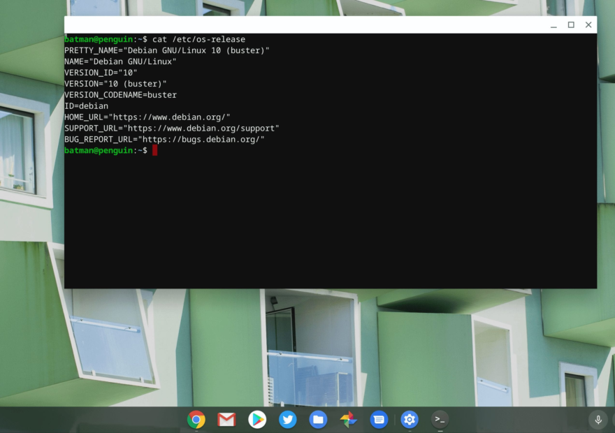 Chrome OS 81 Dev Channel adds Buster upgrade, Linux disk resizing and username choice to Chromebooks