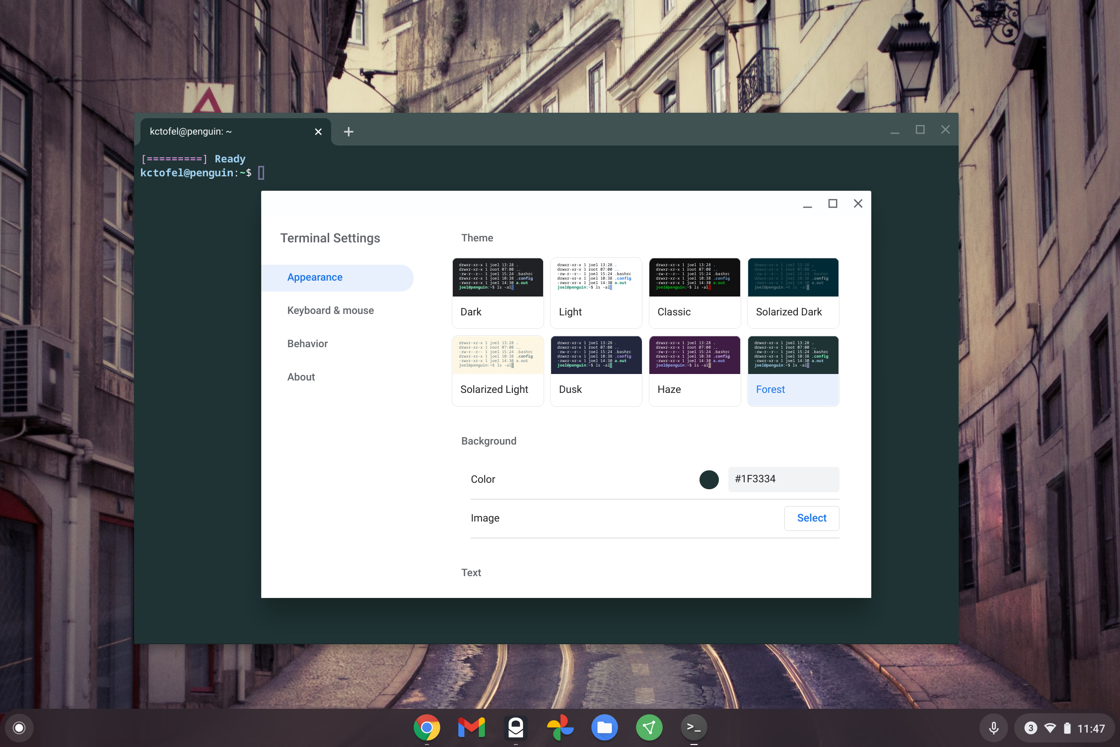 Custom Chrome OS Terminal Settings