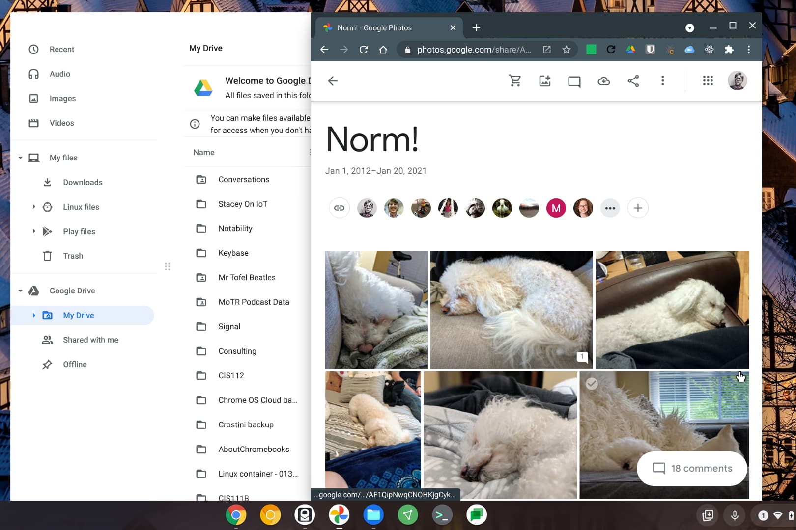 Google Photos may be coming to the Chrome OS Files app on Chromebooks, but there’s a catch