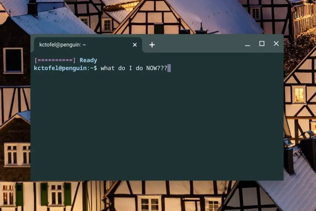 Linux on your Chromebook Terminal app