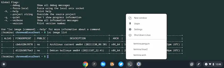 Chrome OS 98 three Linux containers on a Chromebook with Terminals