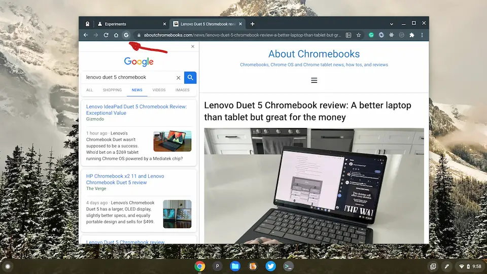 Google side search in Chrome OS 96