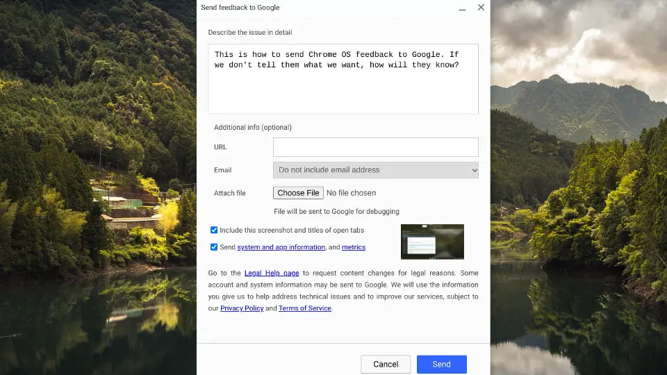 Chrome OS feedback form on a Chromebook