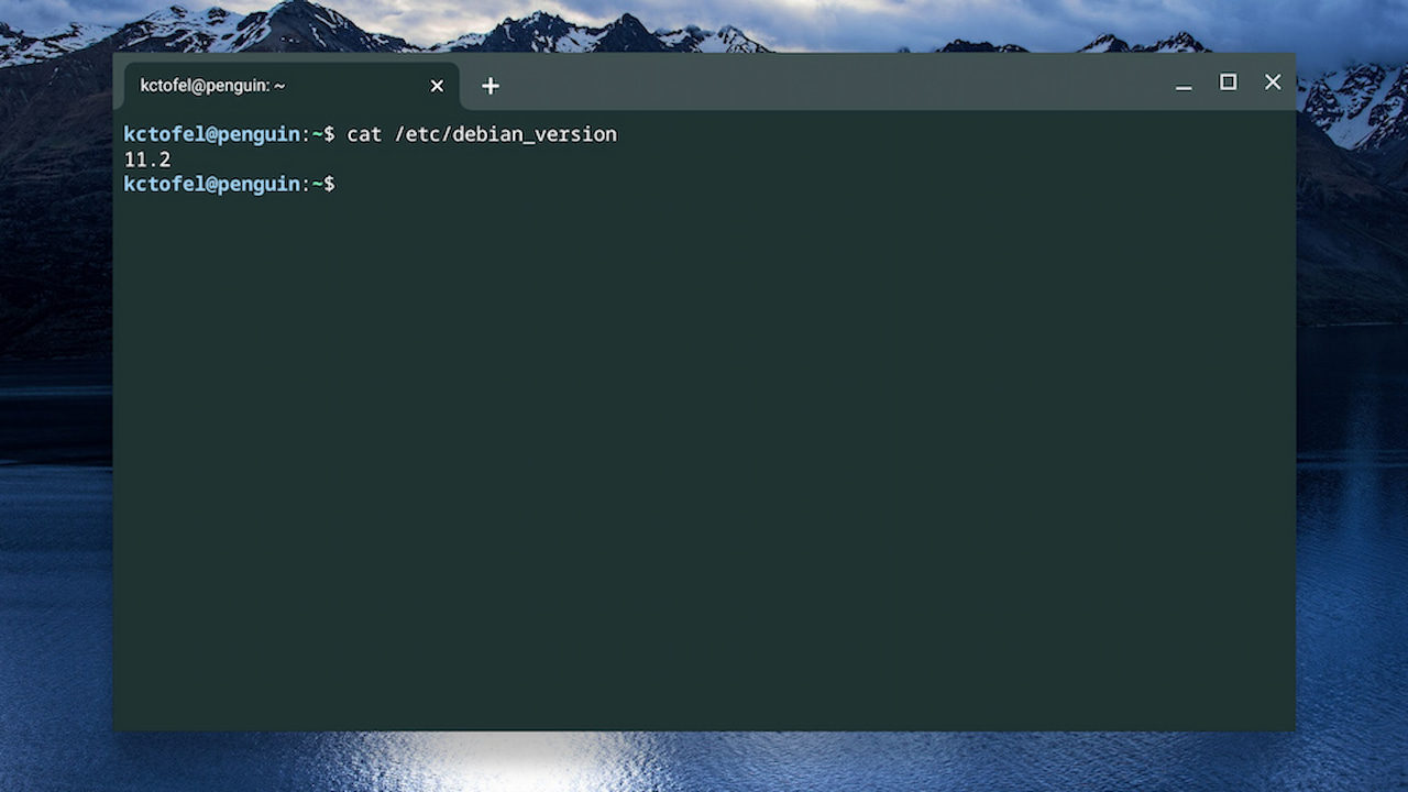 Debian 11.2 on a Chromebook