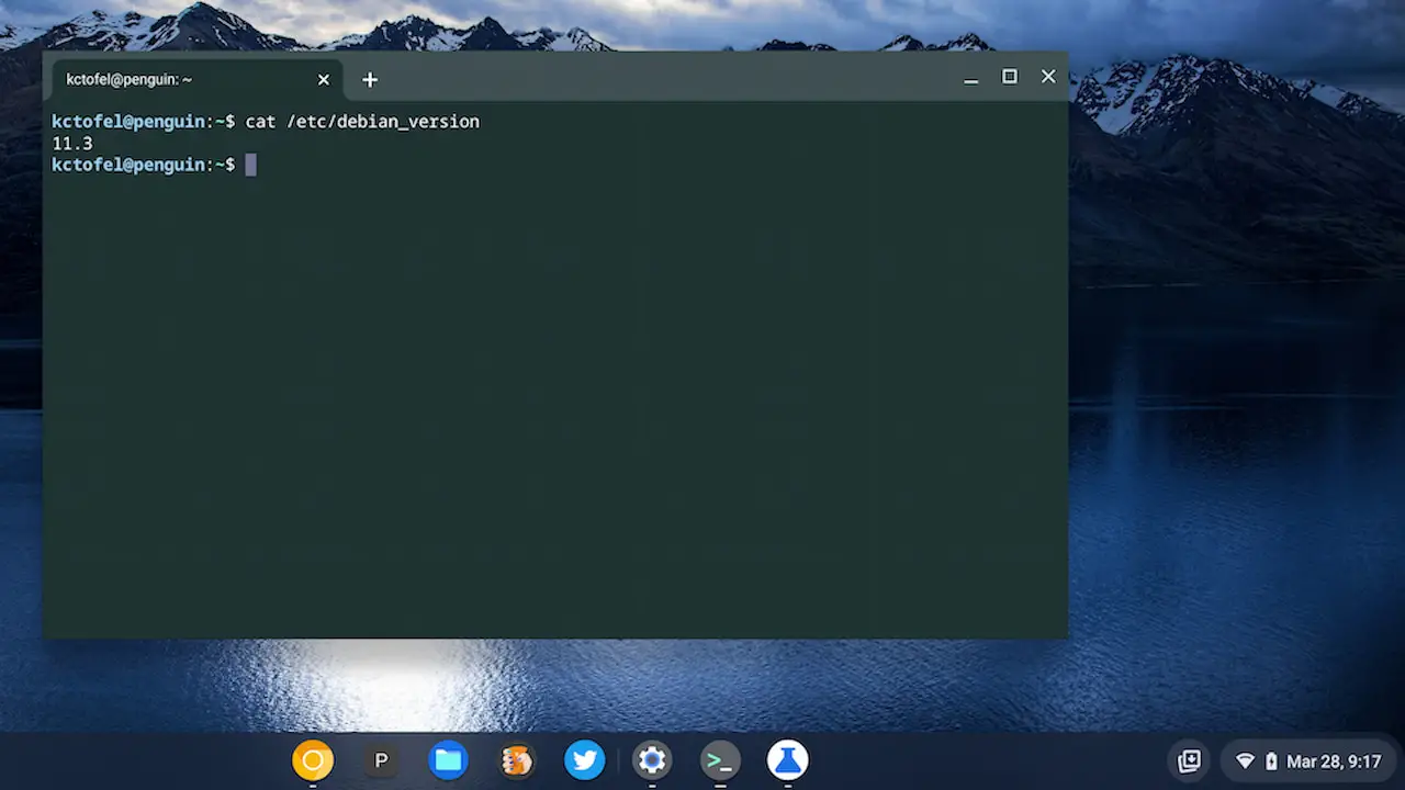 Linux on a Chromebook Debian 113 upgrade