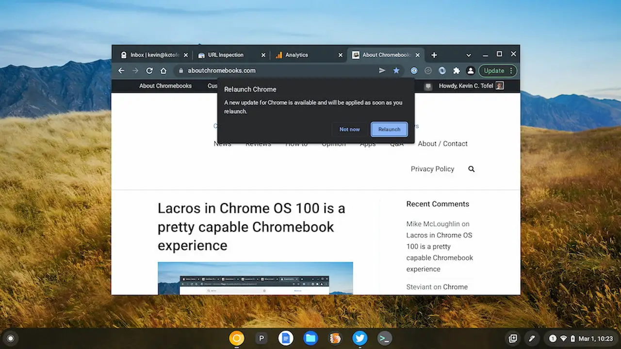 Google Chrome browser on Chrome OS with Lacros