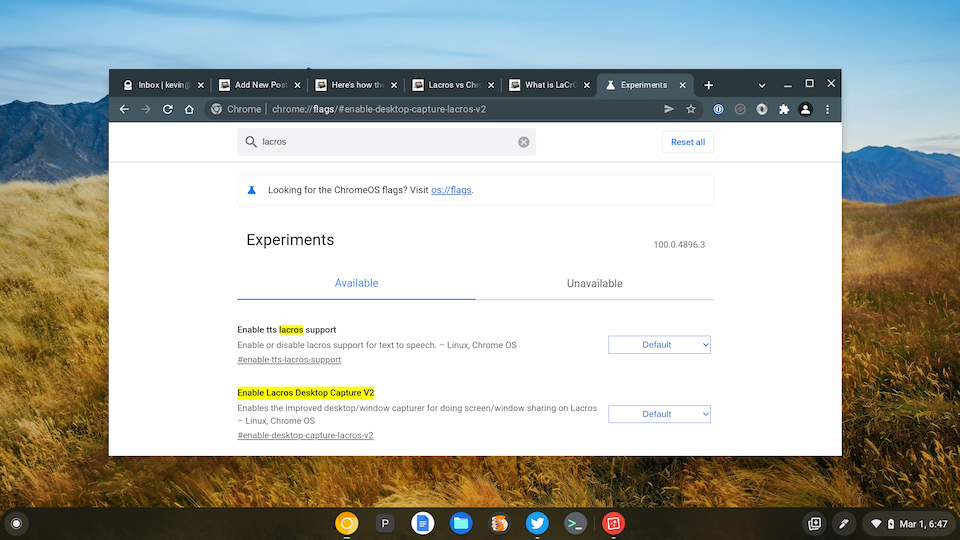 Lacros in Chrome OS 100