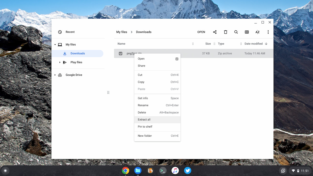 ZIP files with extract all