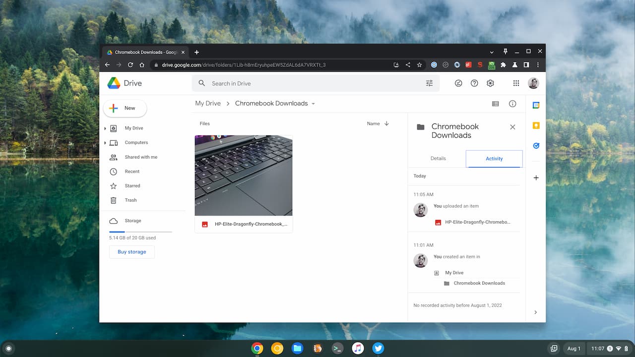 Chromebook Downloads on Google Drive