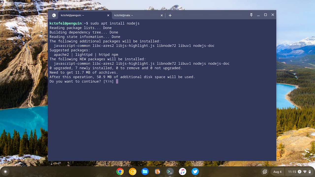 Apt install of Node