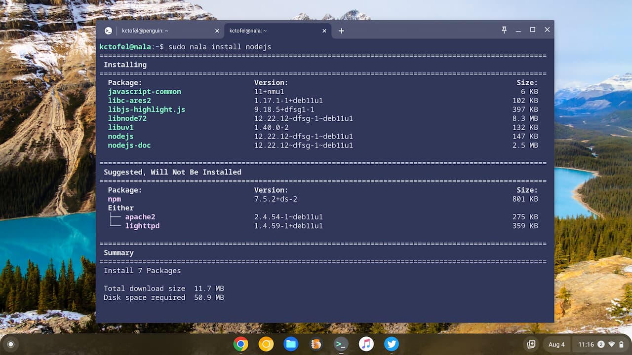 Still using apt for Linux on a Chromebook? Try Nala instead