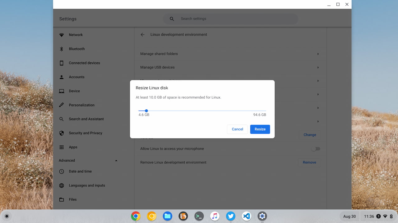 Resize Linux on Chromebooks disk