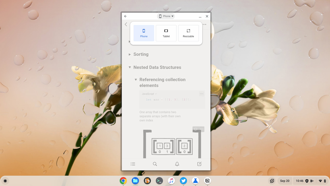 Android app resizing on Chromebooks with Notion