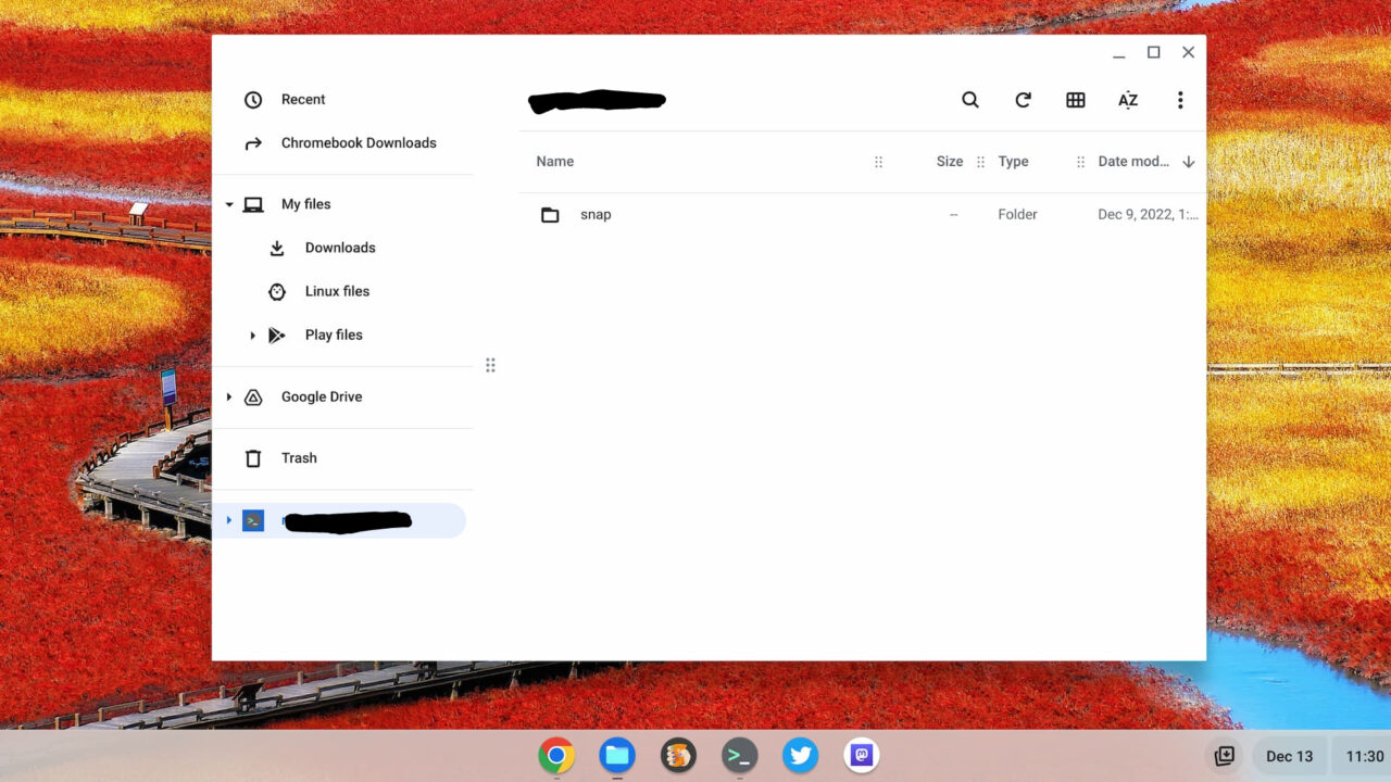 ChromeOS 109 files app with a remote mount via SFTP