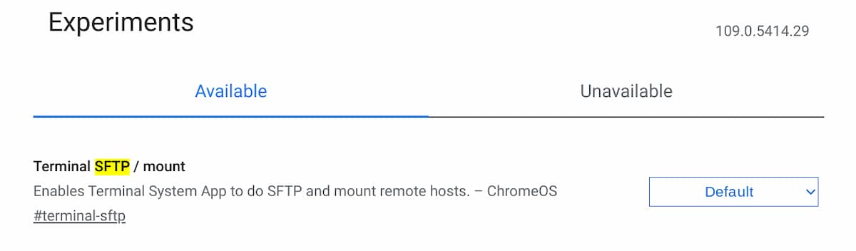 Terminal SFTP mount on ChromeOS 109