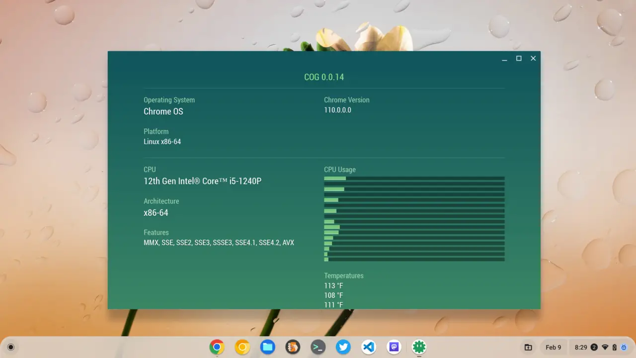 CPU affinity can boost VM performance on Chromebooks with multi core processors