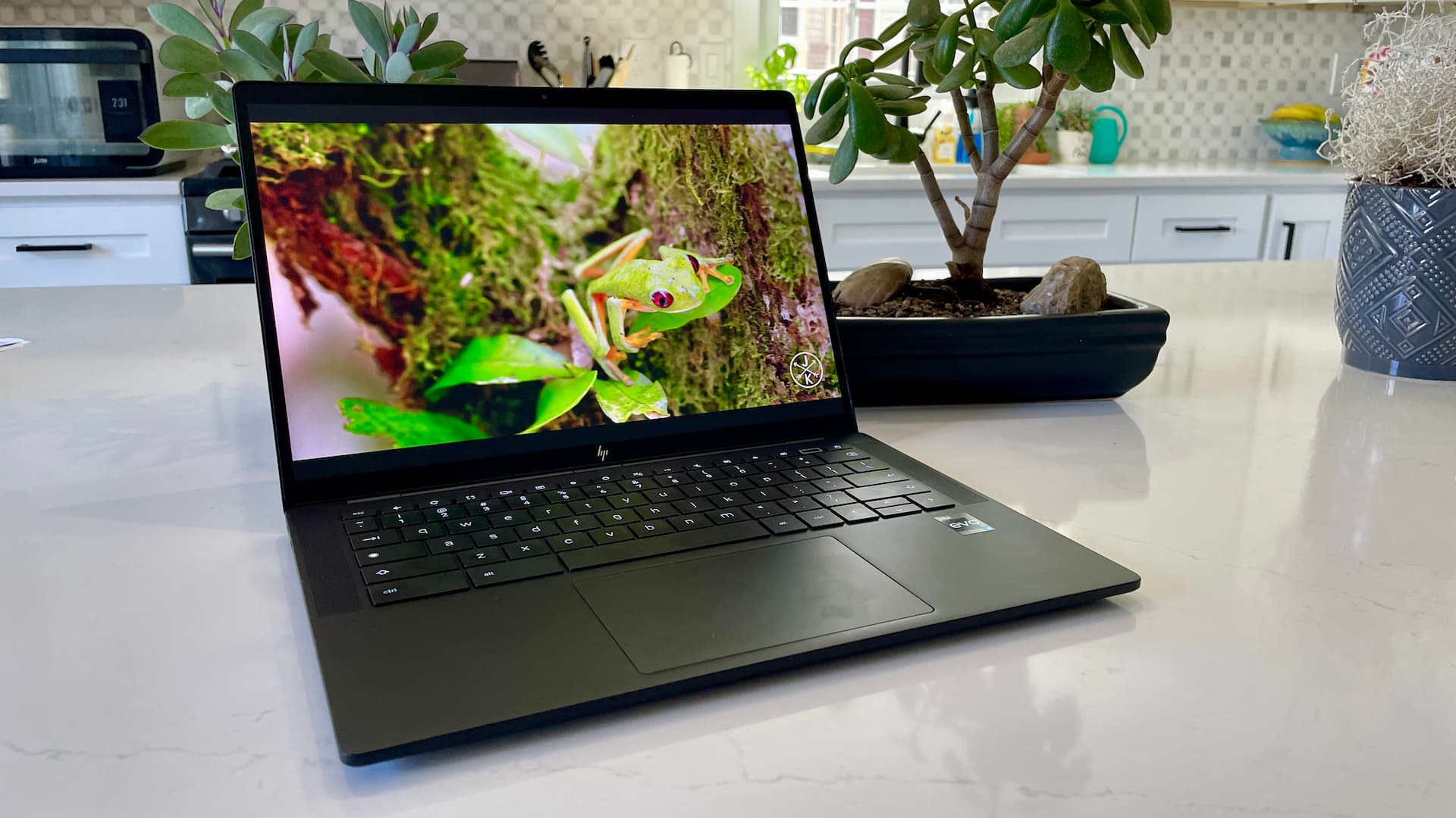 HP Dragonfly Pro Chromebook Review: Best of ChromeOS