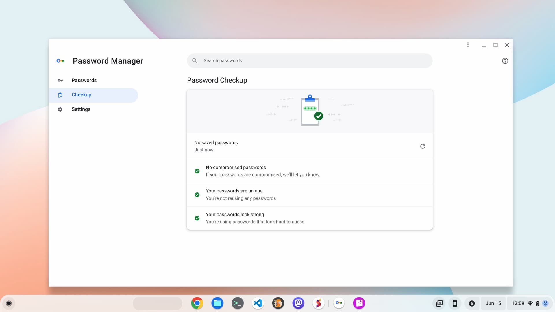 The Google Password Manager Chromebook app is a PWA