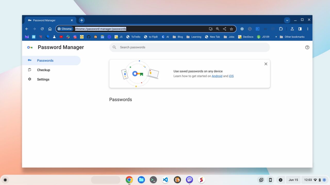 Google Password Manager Chromebook app in the browser