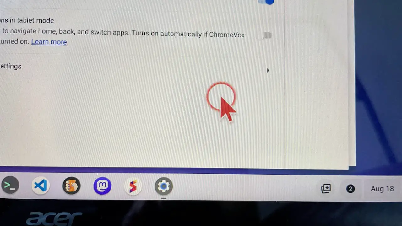 You can highlight the Chromebook cursor