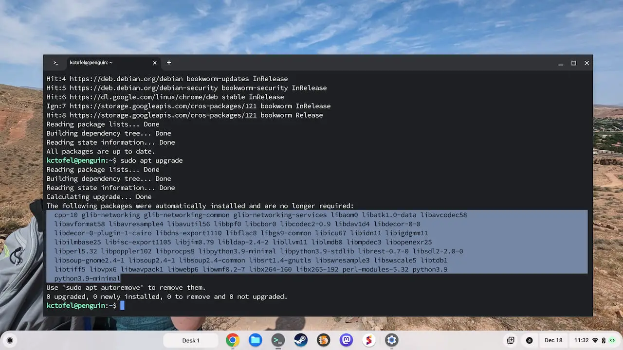 Removing unneeded packages in Debian 12 Linux on a Chromebook