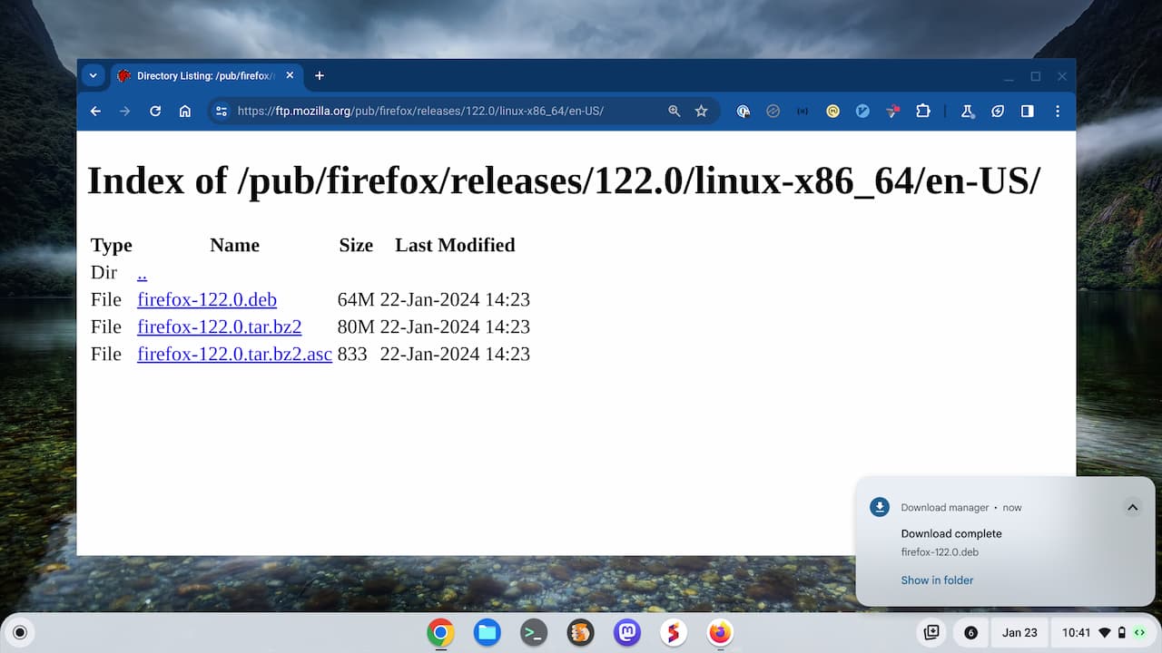 Mozilla now offers .Deb packages of Firefox for Linux that you can install on a Chromebook