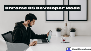 Chrome OS Developer Mode Activation And Features