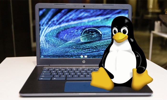 Running a Full Linux Desktop Using Crouton