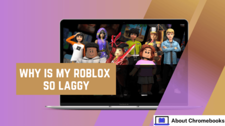 Why Is My Roblox So Laggy Why Is My Roblox So Laggy 450x253 