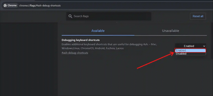 How to Enable ash-debug-shortcuts (2)