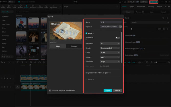 Preview, Export & Share