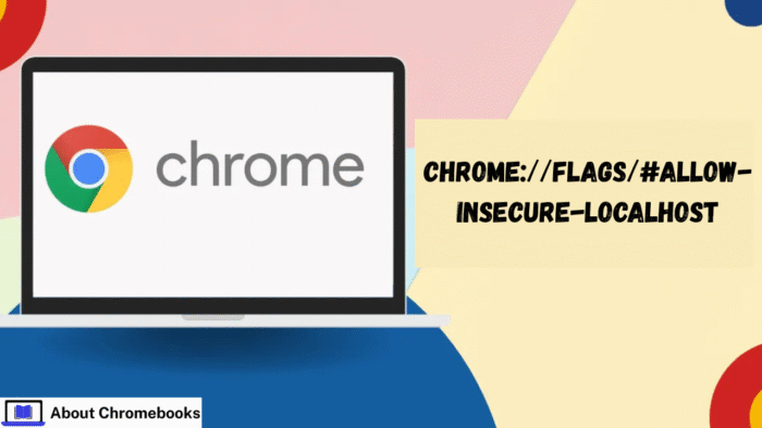How To Use chrome://flags/#allow-insecure-localhost 