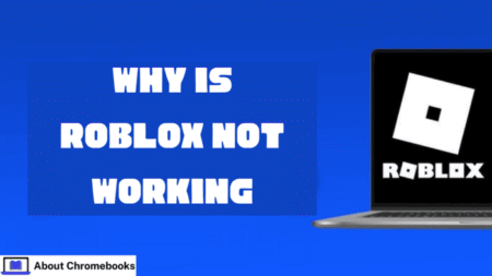 Why Is Roblox Not Working?