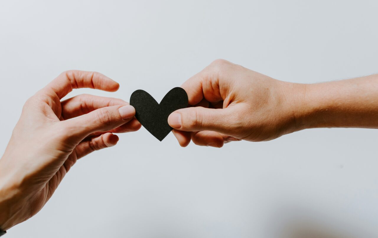The Allure of Unconditional Companionship