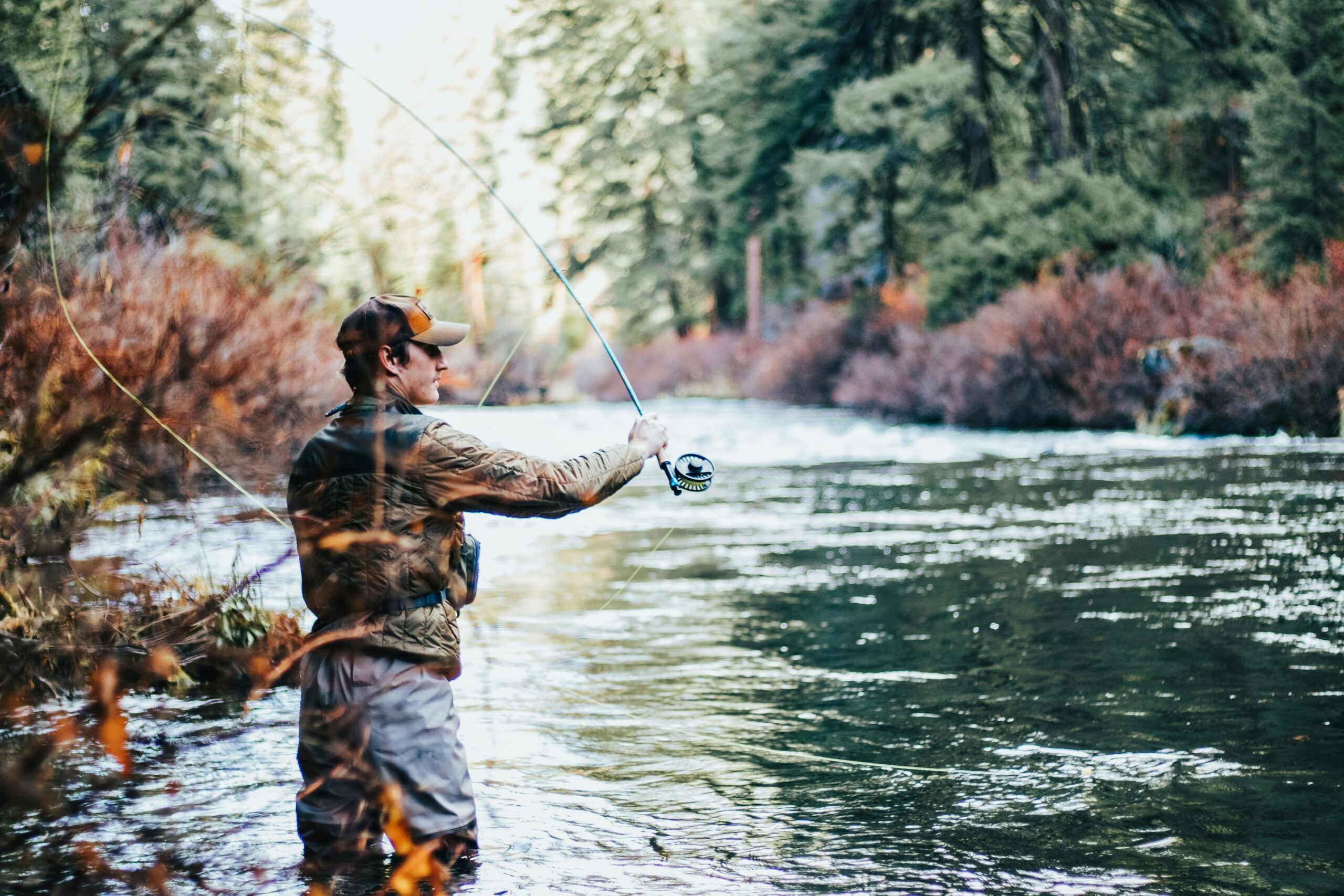 What Makes the Big Bass Slot Games So Popular