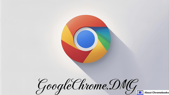Using googlechrome.dmg To Install Chrome
