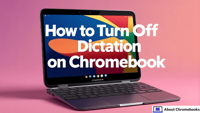 how to turn off dictation on chromebook