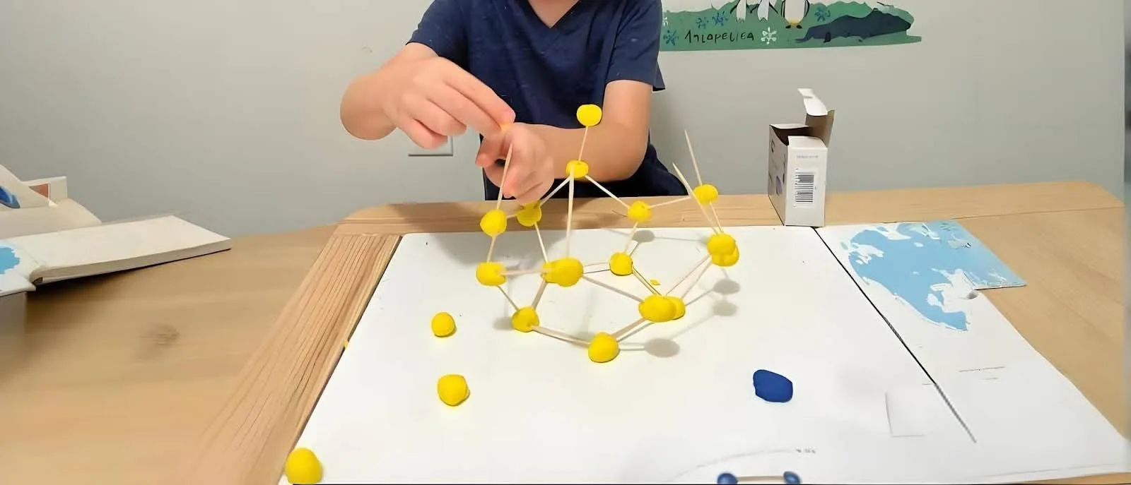 School project and STEM learning