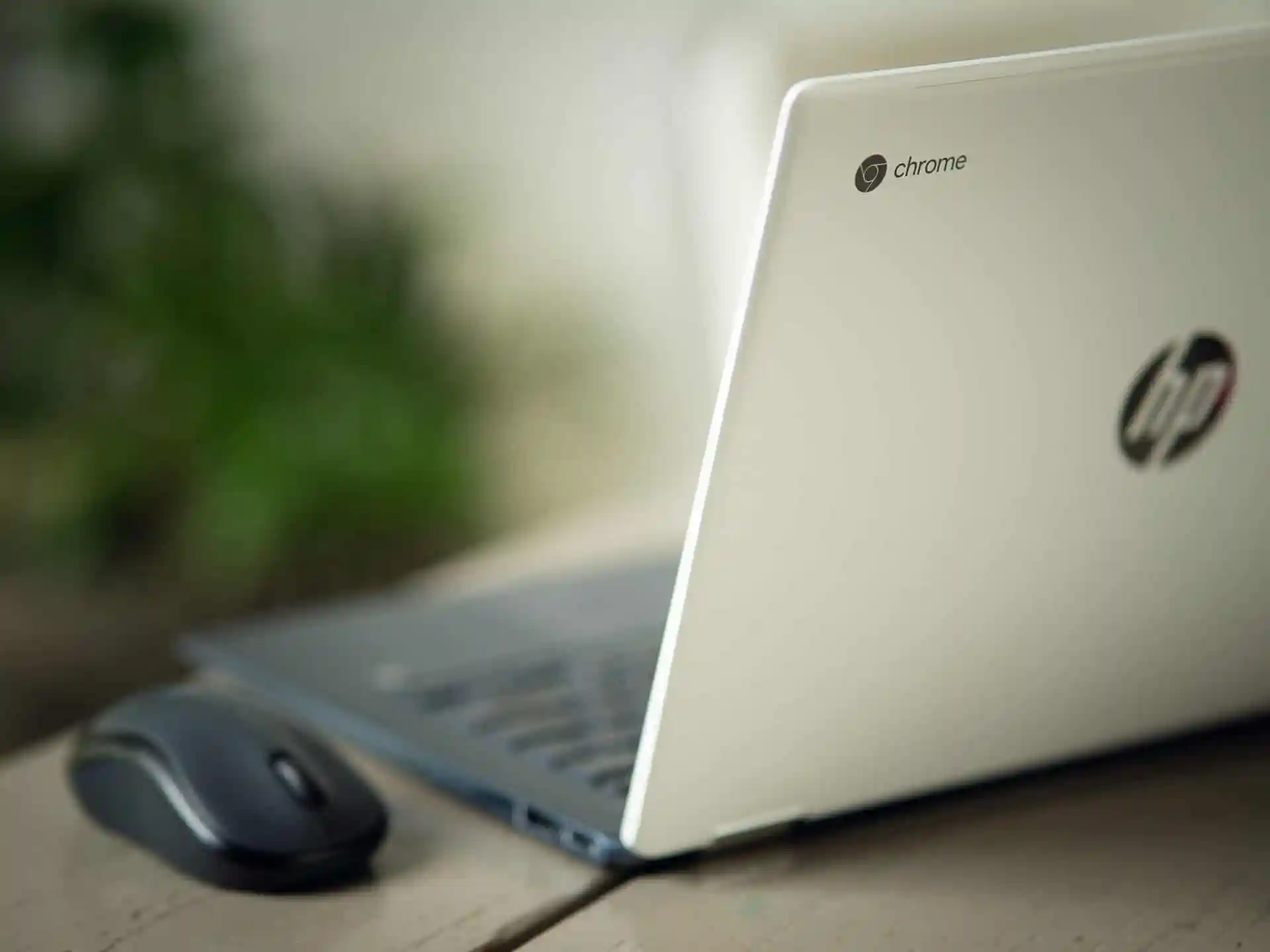 The Best Setups for Gaming on Chromebooks