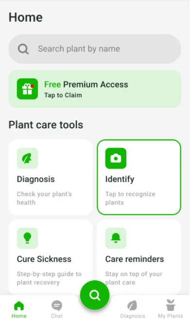 Botan App Review A Plant Identifier App Worth Installing on Android