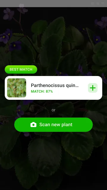 Botan plant identifier app