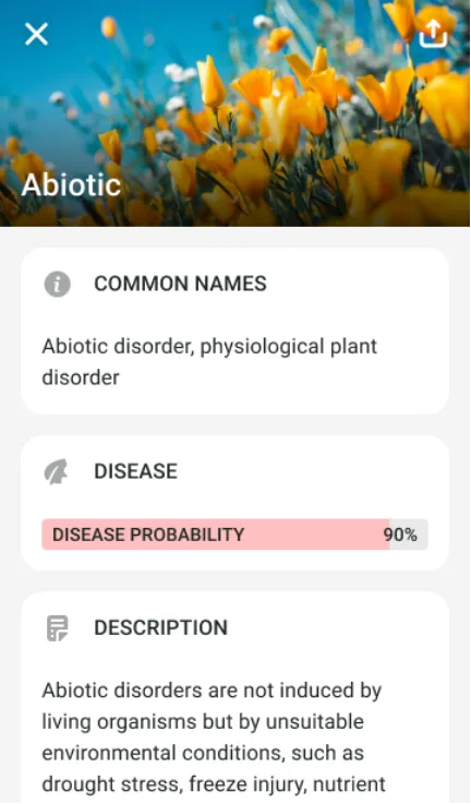 Plant Disease and Problem Detection